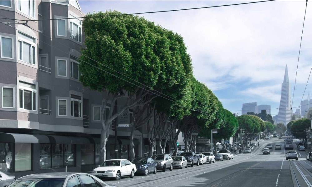 San Francisco